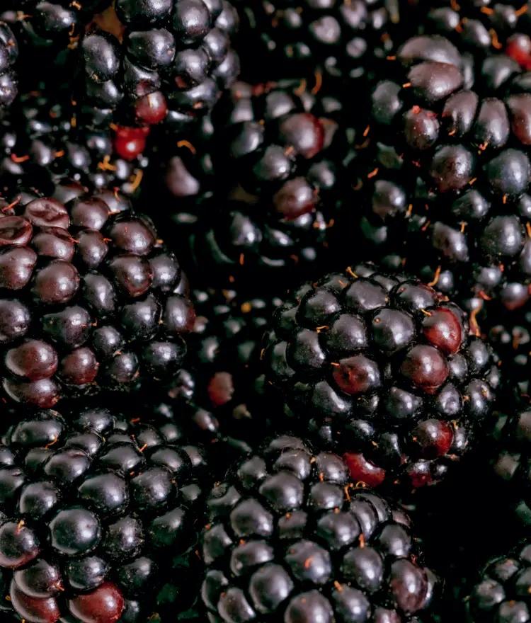 Black fruit