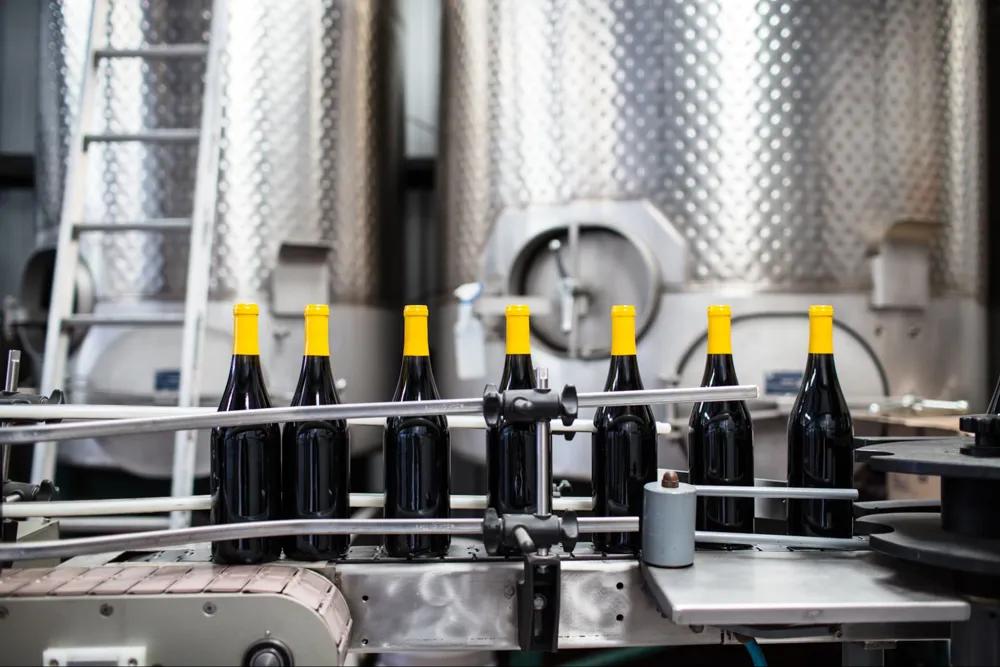 Sealed for Perfection: The Science Behind Wine Bottling